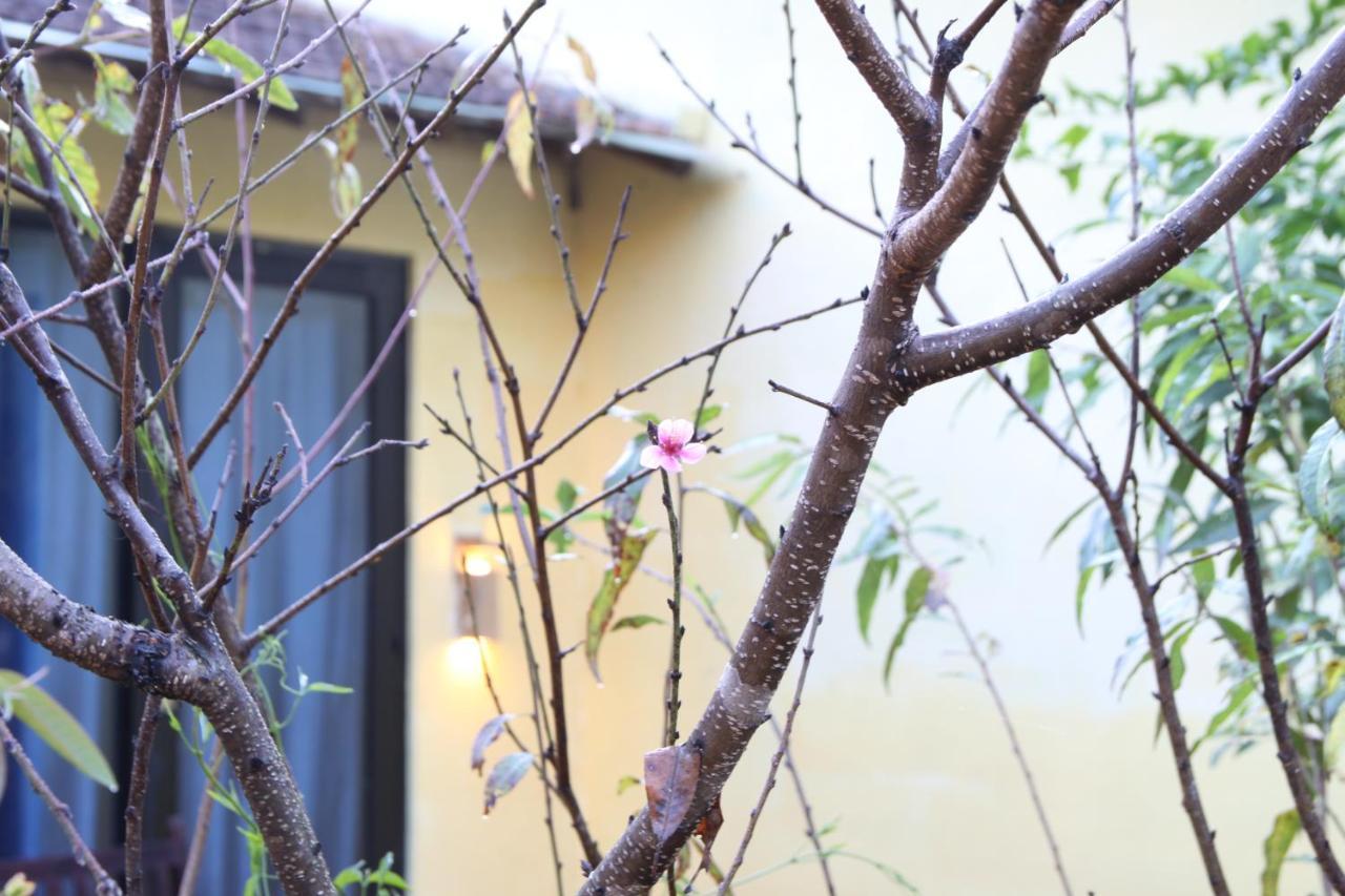 L'Amant Homestay Dalat Exterior foto