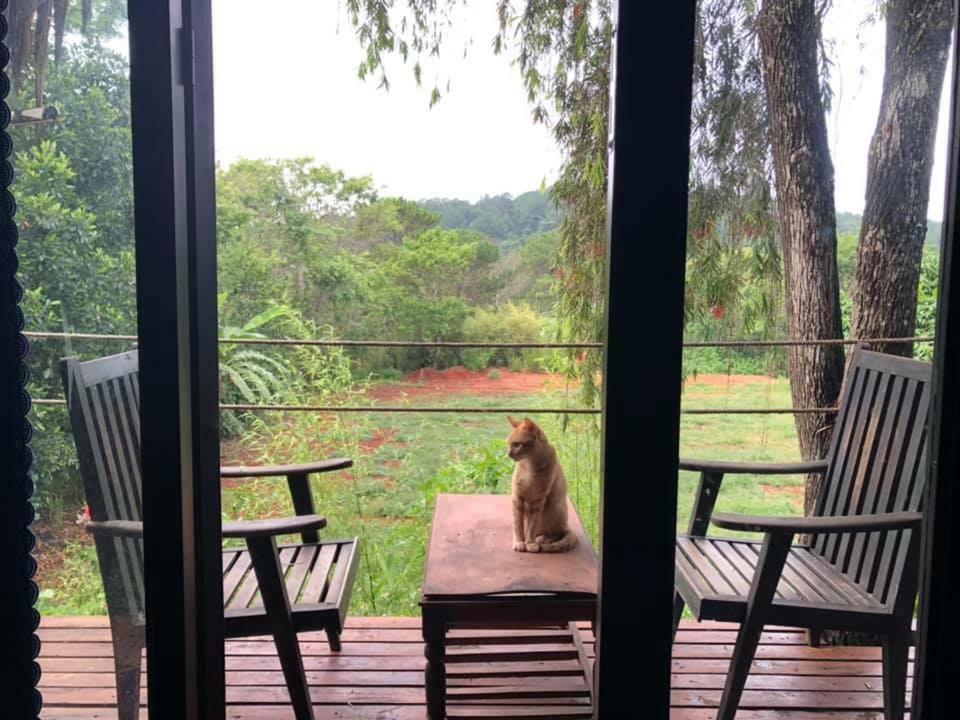 L'Amant Homestay Dalat Exterior foto